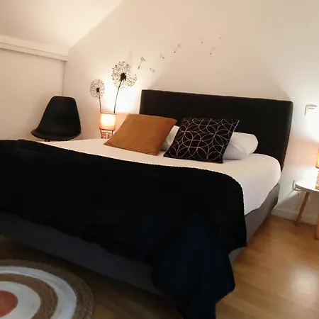 Le Duplex, Parking Wifi Aux Portes De Appartement Vannes